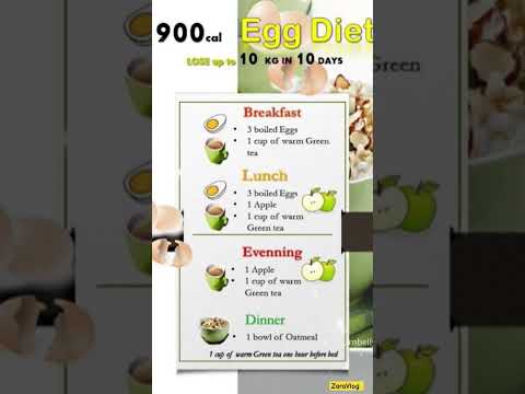 High protein egg diet meal plan for short term weight loss